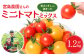 小粒で甘さがギュッと詰まったミニトマトをお届けします！