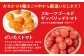 この中から厳選したトマトを4種お届けします！中身はお楽しみに♪