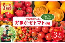 【先行予約】【定期便6回】おまかせトマト4種 3kg×6回 計18kg 八代市産 宮島農園 ミニトマト トマト とまと 農産物 野菜 セット 詰め合わせ 定期便 熊本県 八代市 【2025年12月上旬より順次発送】