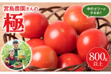 【先行予約】最高峰 トマト 極 800g 八代市産 宮島農園 甘い 野菜 やさい 【2026年1月上旬より順次発送】