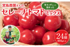 【先行予約】 セレーナトマト サイズミックス 24個 400g以上 八代市産 宮島農園 野菜 とまと サラダ 【2025年12月下旬より順次発送】