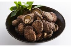 原木栽培椎茸 肉厚どんこ 300g