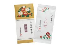 上級球磨茶 2本 セット