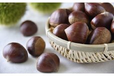 球磨栗（鬼皮付き） 約2kg 【2025年9月下旬～10月下旬発送予定】栗 くり クリ 鬼皮 旬 お取り寄せ