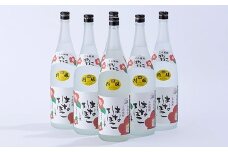 球磨焼酎 はなてばこ 1.8L 6本セット