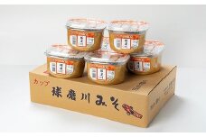 「ひとよしの百年蔵」いつきみそ「球磨川」セット