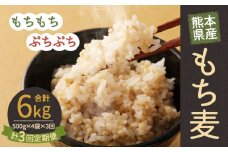 【定期便年3回】 熊本県産 もち麦 合計6kg