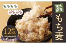 【定期便年6回】 熊本県産 もち麦 合計12kg