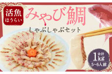 活魚ほうらい みやび鯛しゃぶ セット 250g×4パック 5~6名用