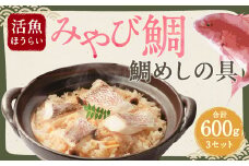 活魚ほうらい 大漁 鯛めし 鯛だらけの具 2合分（200g）×3セット