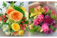 【定期便年12回】大切な方へ毎月お届け　お花の定期便 人吉市内限定 ※画像はイメージです