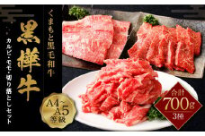 くまもと黒毛和牛 杉本本店 黒樺牛 A4～A5等級  焼き肉用 カルビ・モモ・切り落としセット 計700g タレ1本