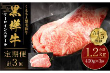 【3回定期便】くまもと黒毛和牛 杉本本店 黒樺牛 A4~A5等級 サーロインステーキ定期便 400g×3回