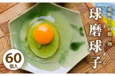 球磨球子 60個 鶏卵 卵 玉子 たまご くまたまご（破損保証有り）