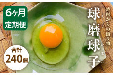 【定期便 年6回】球磨球子 40個入×6回 鶏卵 卵 玉子 たまご くまたまご（破損保証有り）
