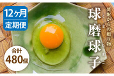 【定期便 年12回】球磨球子 40個入×12回 鶏卵 卵 玉子 たまご くまたまご（破損保証有り）
