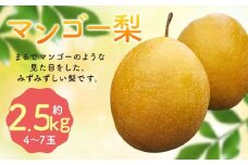 【2025年10月下旬より12月下旬迄順次発送予定】 王秋梨 （ マンゴー梨 ） 約2.5kg （ 4-7玉 ） 梨 フルーツ 