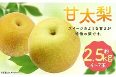 【2025年9月下旬より10月上旬迄順次発送予定】 毎床さんちのあまーい甘太梨 約2.5kg （ 4-7玉 ） 梨 フルーツ