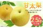 【2025年9月下旬より10月上旬迄順次発送予定】 毎床さんちのあまーい甘太梨 約2.5kg （ 4-7玉 ）