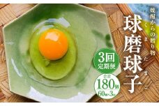 【定期便年3回】 球磨球子 60個入 卵 たまご 鶏卵 卵 玉子 たまご くまたまご（破損保証有り）