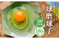 【定期便年3回】 球磨球子 60個入 卵 たまご 鶏卵