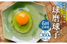 【定期便年6回】 球磨球子 60個入 鶏卵 卵 玉子 たまご くまたまご（破損保証有り）