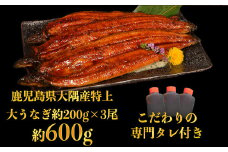 特上うなぎ 600g(200g×3尾) タレ付き うなぎ 鰻