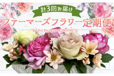 ファーマーズフラワー by the Bouquet KUMAMOTO【定期便年3回】 花 フラワーアレンジメント