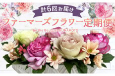 ファーマーズフラワー by the Bouquet KUMAMOTO【定期便年6回】 花 フラワーアレンジメント