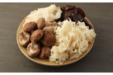 生きのこ セット 生きくらげ 生白いきくらげ 生しいたけ はなびらたけ