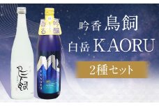 吟香 鳥飼 720ml と 本格米焼酎 白岳 KAORU 星空ボトル 900ml 各1本 セット 合計2本 約1.6L 焼酎 25度 米焼酎 球磨焼酎 飲み比べ