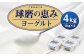 球磨の恵ヨーグルト (加糖) 1kg 4パック 合計4kg