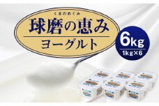 球磨の恵 ヨーグルト (加糖) 1kg 6パック 合計6kg