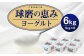 球磨の恵ヨーグルト (加糖) 1kg 6パック 合計6kg