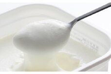 球磨の恵 ヨーグルト 砂糖不使用 1kg 4パック 合計4kg