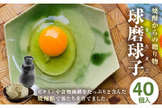球磨球子 40個 鶏卵 卵 玉子 たまご くまたまご（破損保証有り）