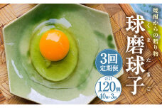 【定期便3回】球磨球子 40個×3回 合計120個 鶏卵 卵 玉子 たまご くまたまご（破損保証有り）