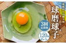 【定期便3回】球磨球子 40個×3回 合計120個 鶏卵 卵 玉子 たまご くまたまご（破損保証有り）