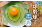 【定期便3回】球磨球子 40個×3回 合計120個 鶏卵 卵 玉子 たまご くまたまご