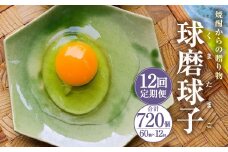 【定期便12回】球磨球子 60個入×12回 合計720個 鶏卵 卵 玉子 たまご くまたまご（破損保証有り）