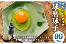 球磨球子 80個 鶏卵 卵 玉子 たまご くまたまご（破損保証有り）