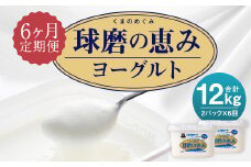 【6ヶ月定期便】球磨の恵みヨーグルト 加糖 1kg×2パック×6回  合計12kg 