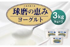 球磨の恵み ヨーグルト 加糖 1kg×3パック 合計3kg