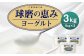 球磨の恵み ヨーグルト 加糖 1kg×3パック 合計3kg