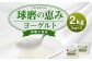 球磨の恵 ヨーグルト 砂糖不使用 1kg×2パック 合計2kg