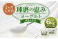 【3ヶ月定期便】球磨の恵 ヨーグルト 砂糖不使用 1kg×2パック×3回 合計6kg