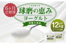 【6ヶ月定期便】球磨の恵 ヨーグルト 砂糖不使用 1kg×2パック×6回 合計12kg