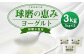 球磨の恵み ヨーグルト 砂糖不使用 1kg×3パック 合計3kg