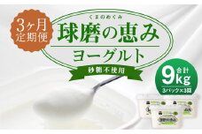 【3ヶ月定期便】球磨の恵み ヨーグルト 砂糖不使用 1kg×3パック×3回 合計9kg