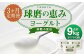 【3ヶ月定期便】球磨の恵み ヨーグルト 砂糖不使用 1kg×3パック×3回 合計9kg